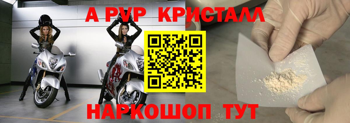 A PVP СК Мичуринск