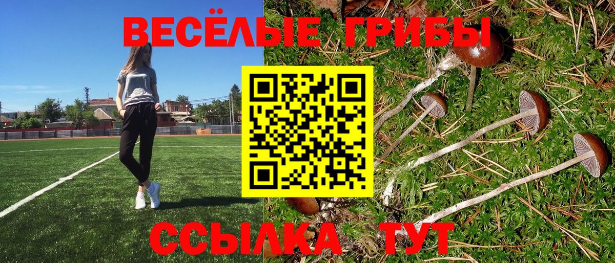 Галлюциногенные грибы ЛСД  Галлюциногенные грибы ЛСД  Вход с VPN  Мичуринск 
